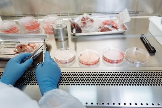 Scientist wearing gloves working with petri dishes and samples in a sterile laboratory environment. carne